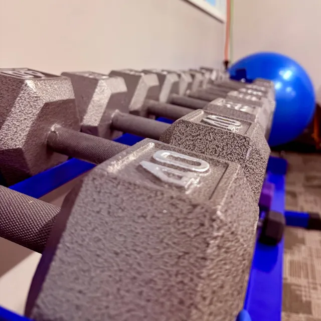 Free Weights